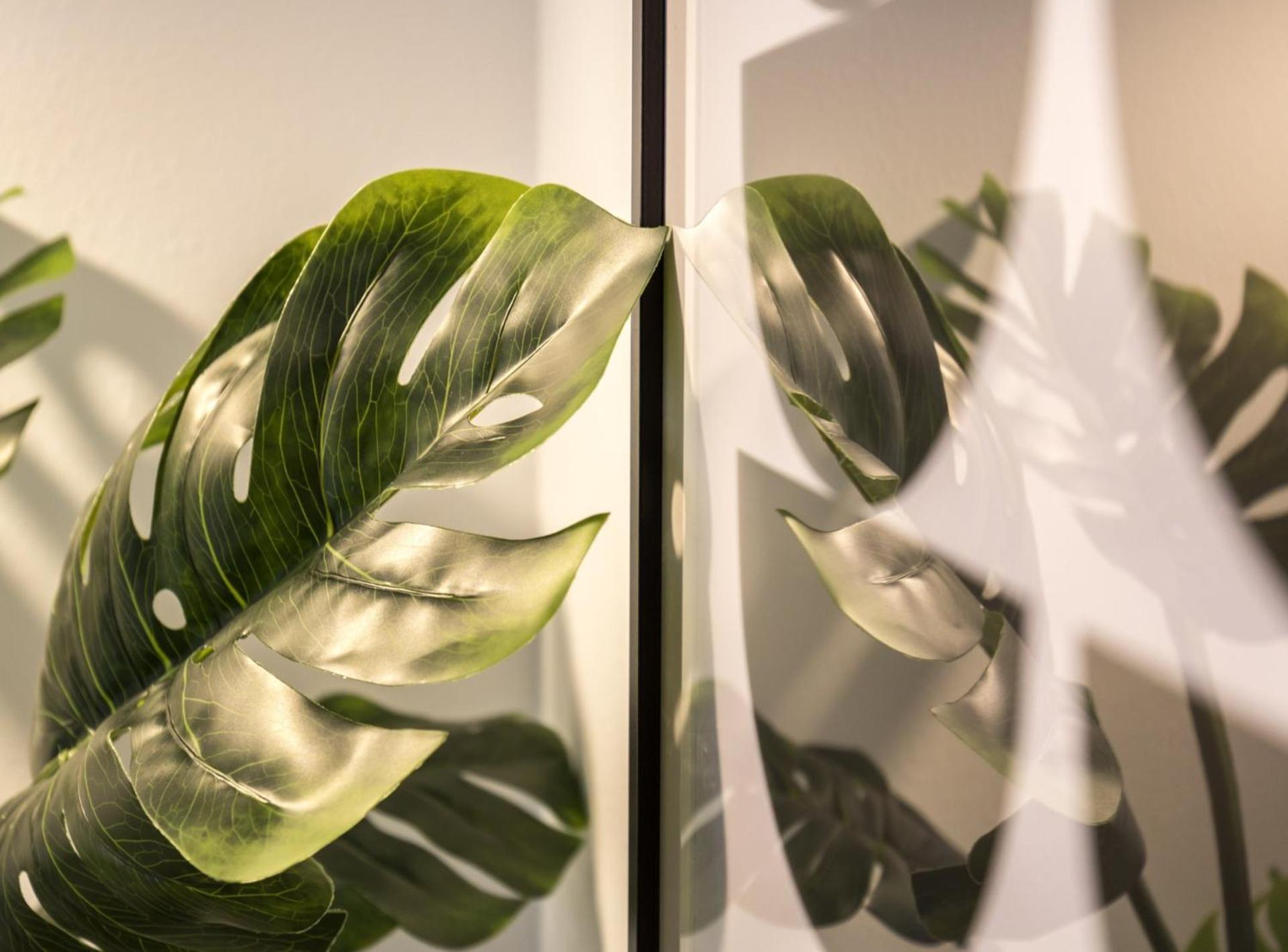 Picasso Suites Barcelona Eksteriør billede
